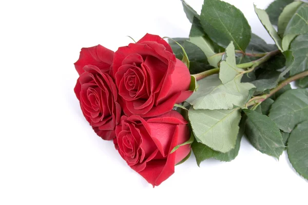 漂亮的玫瑰花束 — 图库照片