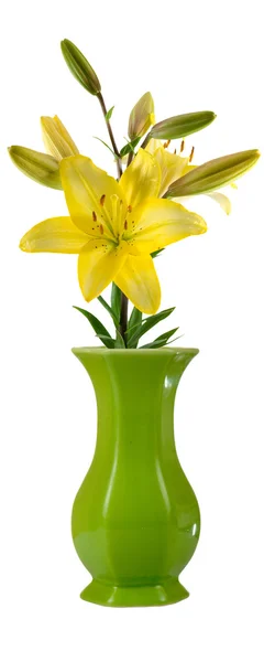 Цветок в вазе — стоковое фото