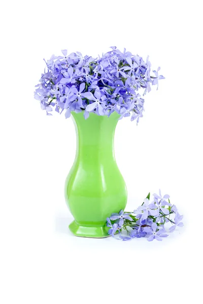 蓝色的花 — 图库照片