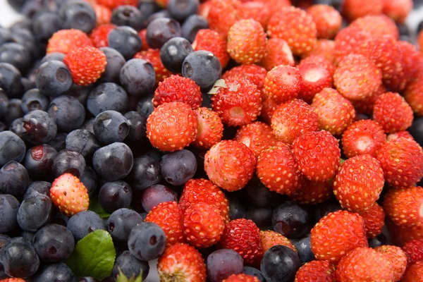 stock image Wild strawberries and blueberries