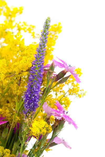 Vacker bukett av vilda blommor — Stockfoto