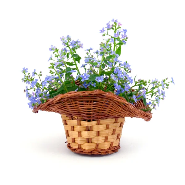 Csokor Tavaszi Virágok Egy Fehér Háttér — Stock Fotó