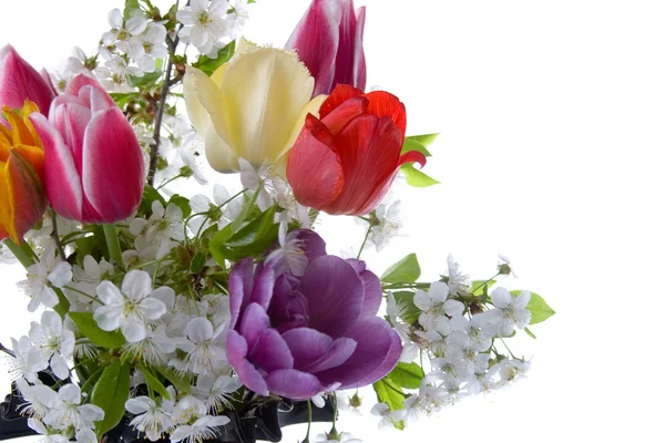 Μπουκέτο Από Ανοιξιάτικα Λουλούδια Λευκό Φόντο — Φωτογραφία Αρχείου