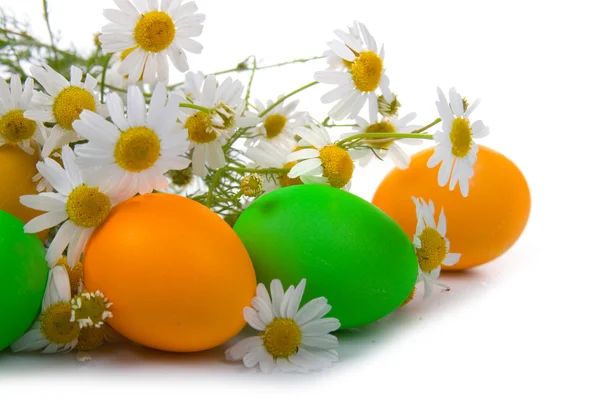 Huevos Pascua Manzanilla Sobre Fondo Blanco —  Fotos de Stock