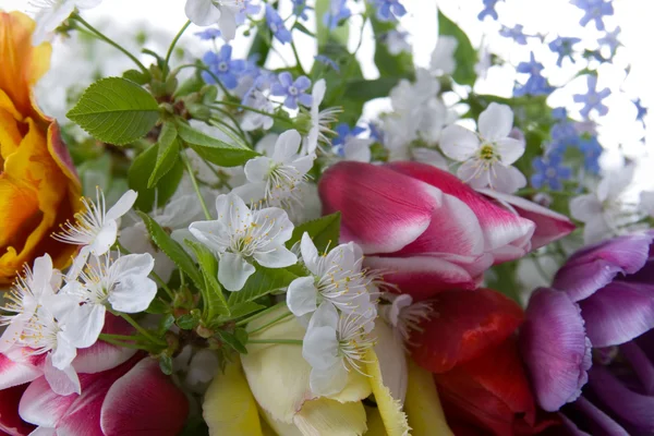 Buquê Flores Primavera Fundo Branco — Fotografia de Stock