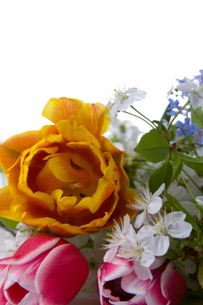 Bouquet Fleurs Printanières Sur Fond Blanc — Photo