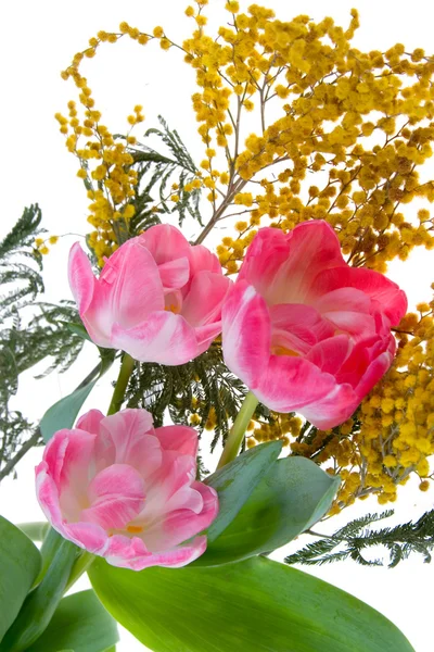 Mimosa és tulipán csokor — Stock Fotó