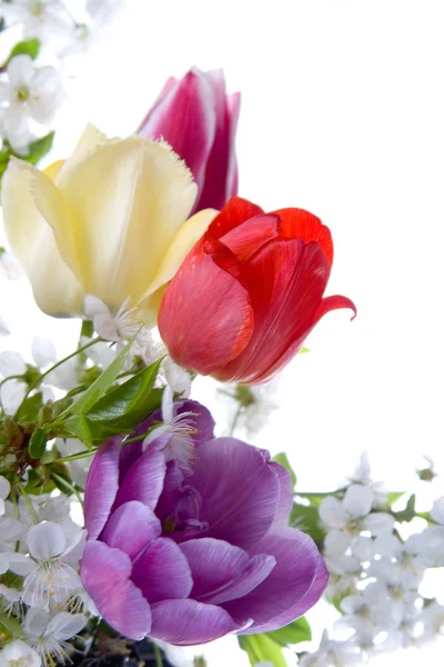 Ramo de flores de primavera — Foto de Stock