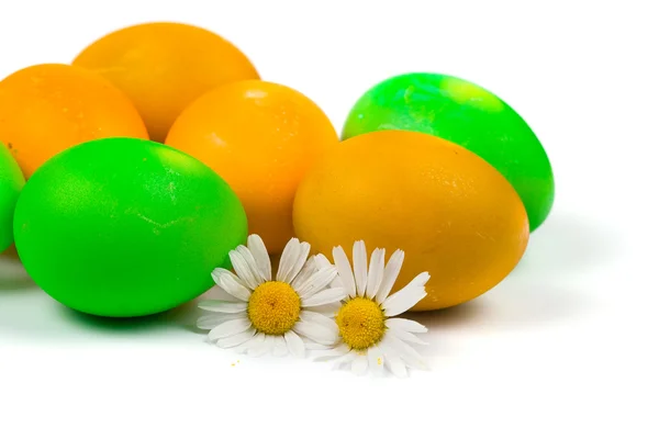 Easter eggs and chamomiles — Stock Photo, Image