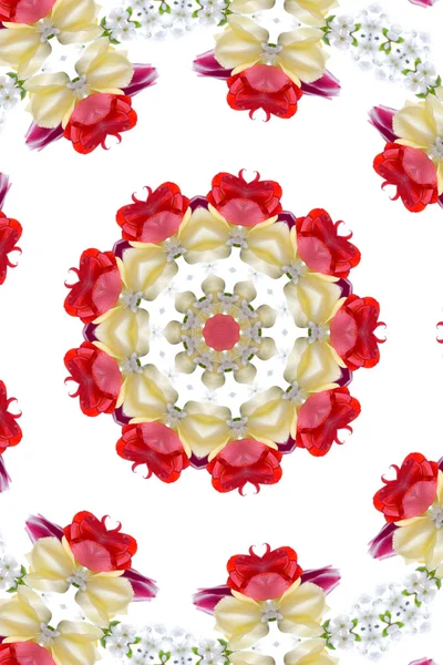 Kaleidoskop Buket Jarních Květů Bílém Pozadí — Stock fotografie