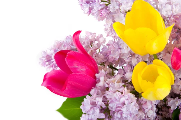 Krásný Jarní Kytice Izolovaných Bílém Pozadí — Stock fotografie