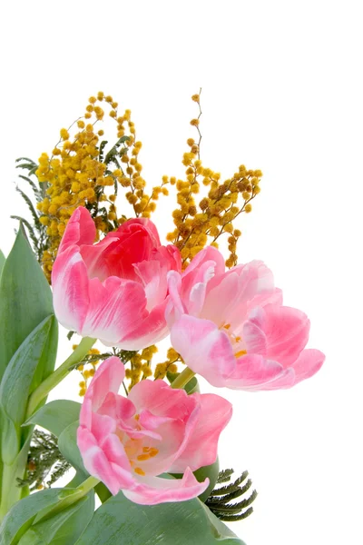 Kytice mimózy a tulipány — Stock fotografie