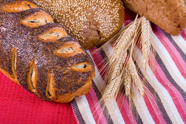 Fresh Bread Ears Wheat — Stock Photo, Image