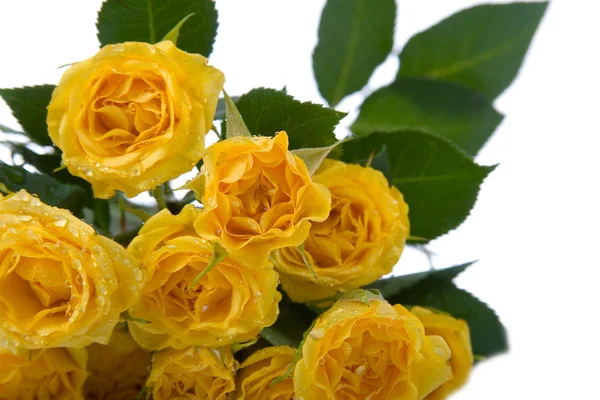 Gele rozen en rood hart — Stockfoto