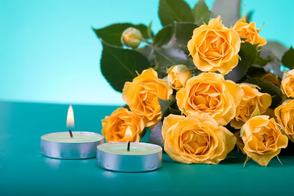 Belles roses jaunes — Photo