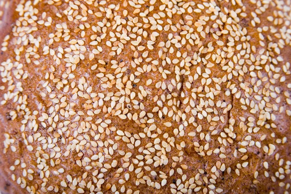 Pão redondo com sementes de sésamo — Fotografia de Stock