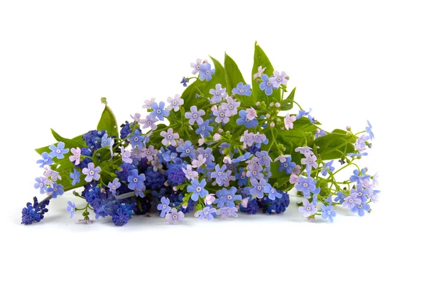 Bouquet of spring flowers — Stock Photo, Image