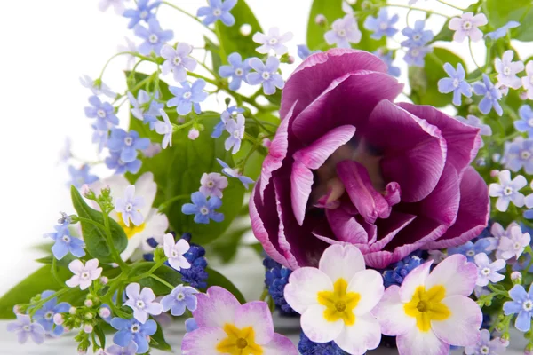 Kytice jarních květin — Stock fotografie
