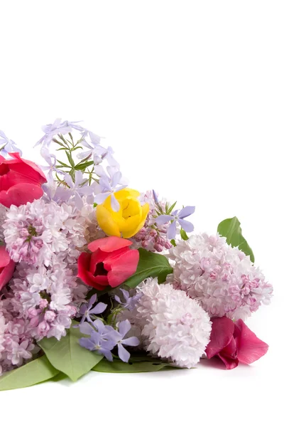 Beautiful spring bouquet — Zdjęcie stockowe