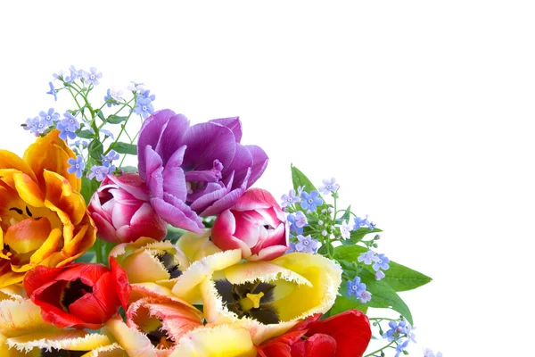 Bouquet di Fiori di Primavera — Foto Stock