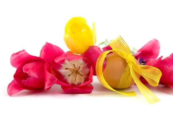 stock image Easter egg and tulips