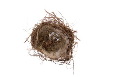 Empty bird's nest clipart