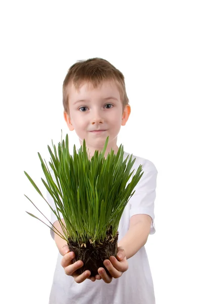 Boy holds a plant — Stock Photo, Image