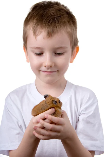 Pojke med en hamster — Stockfoto