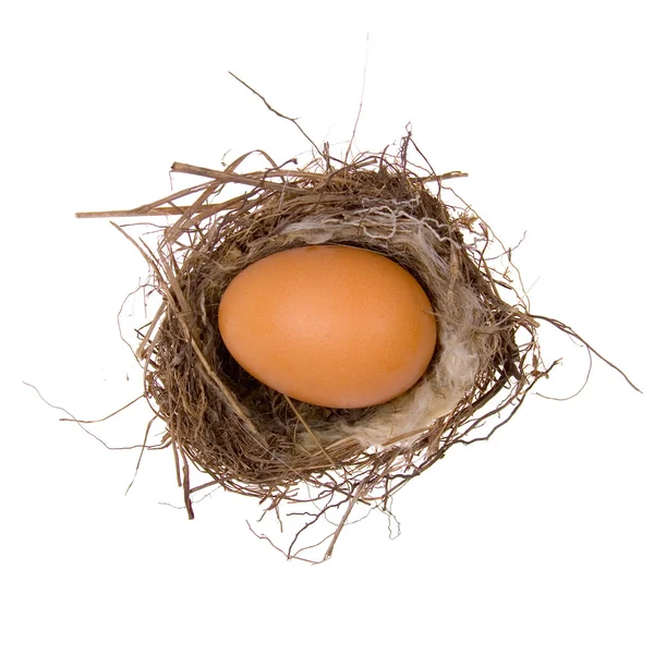 Большое яйцо в гнезде — стоковое фото