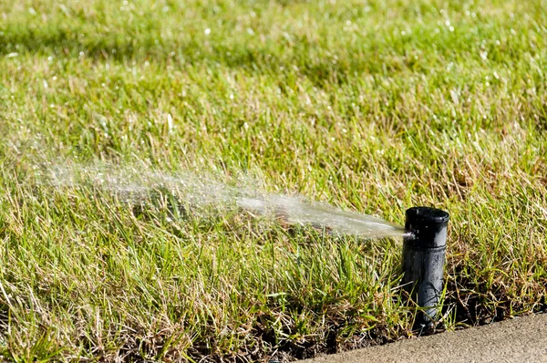 Lawn Sprinkler — Stock Photo, Image