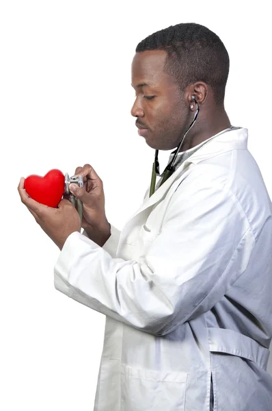 心臓病学者 — ストック写真