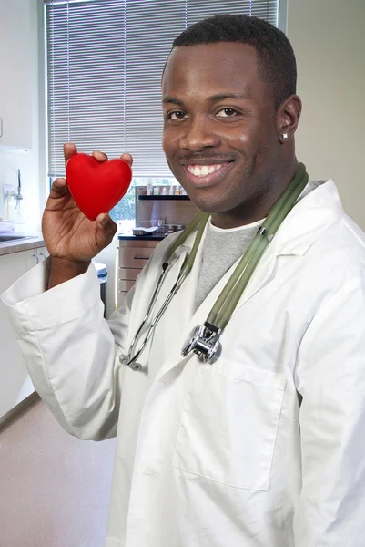 Médecin Noir Afro Américain Cardiologue Tenant Cœur Rouge — Photo