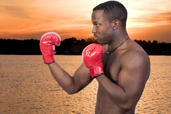 Černoch boxer — Stock fotografie