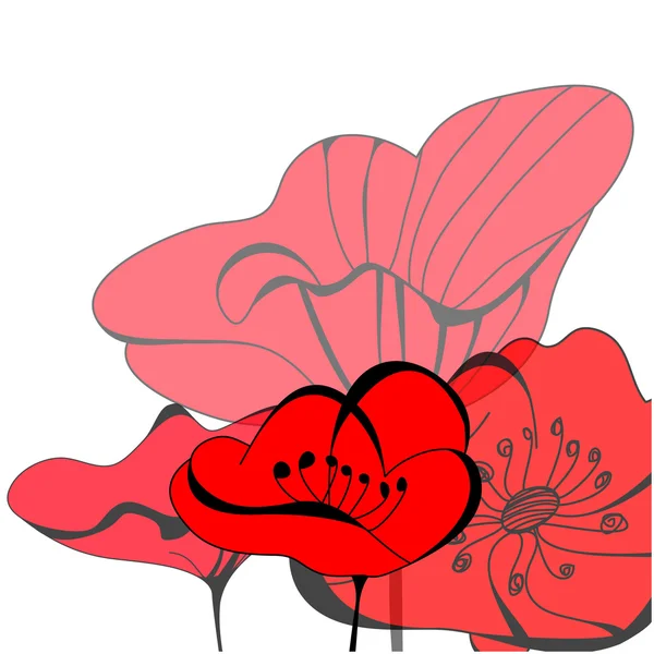 붉은 양귀비 꽃 — 스톡 벡터