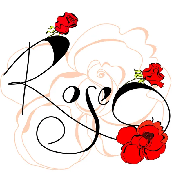 Rose flowers — Stock Vector