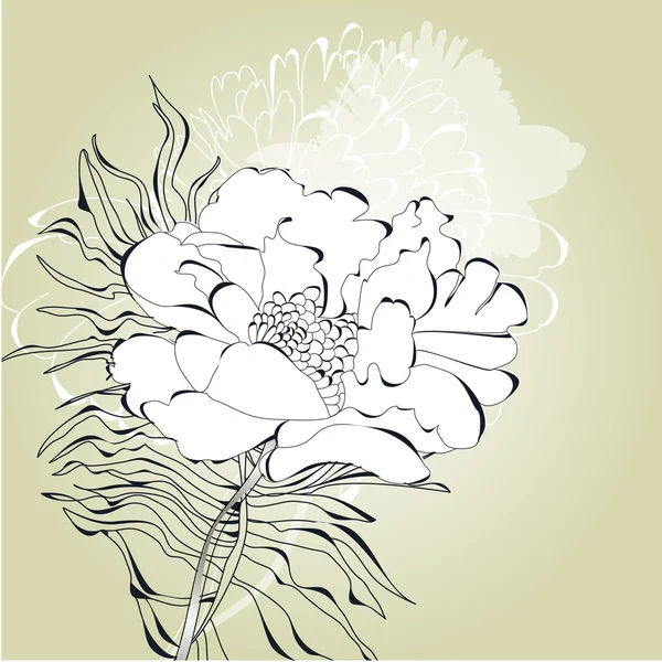 Tarjeta romántica con flor blanca — Archivo Imágenes Vectoriales