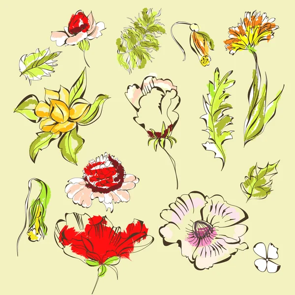 Conjunto Flores — Archivo Imágenes Vectoriales