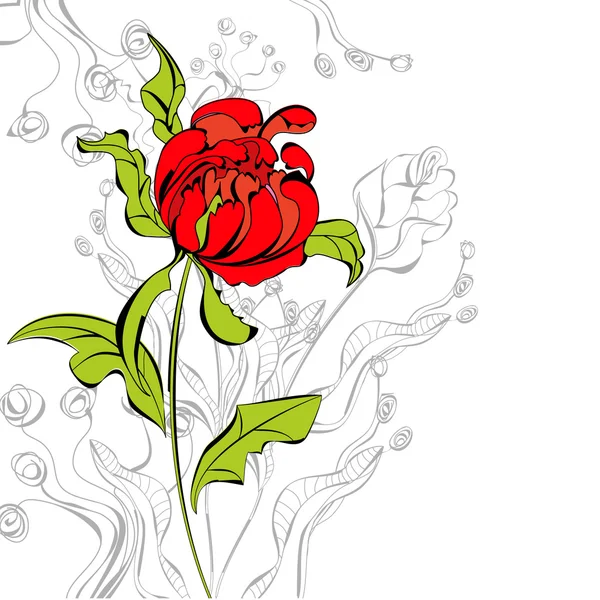 红牡丹花卉 — 图库矢量图片