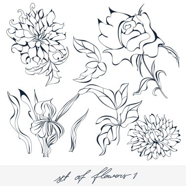 Set of flowers 1 clipart