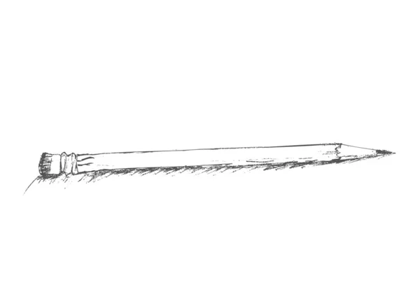 stock vector Sketch with pencil
