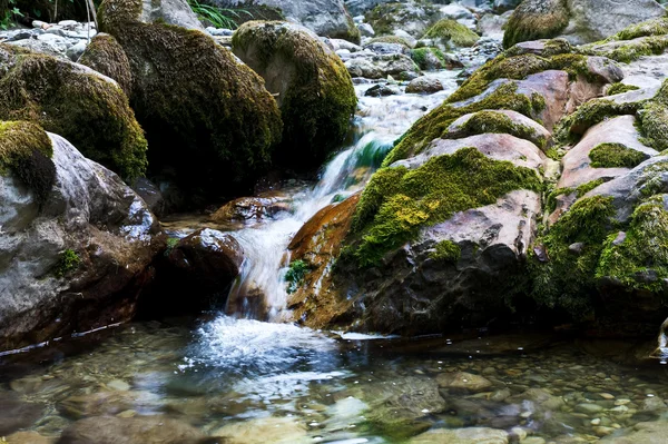 stock image Mountain river