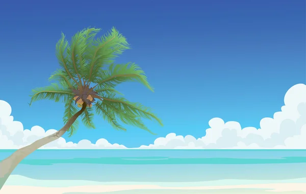Kokospalme Und Das Blaue Meer — Stockfoto