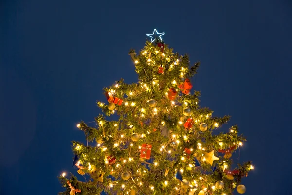Noite de árvore de natal — Fotografia de Stock