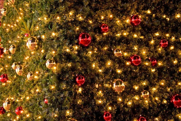 Noel ağacının Ayrıntılar — Stok fotoğraf