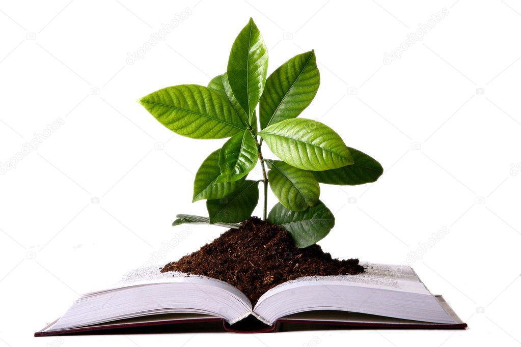 Green Plant Growth From Book Stock Photo 169 Yekophotostudio 4197478