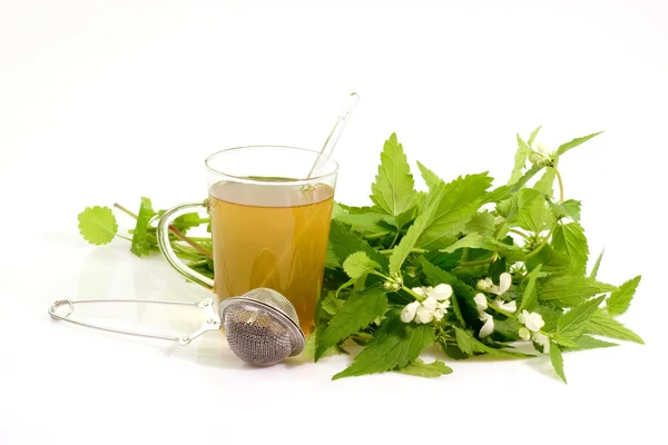 Здоровий трав'яний чай — стокове фото