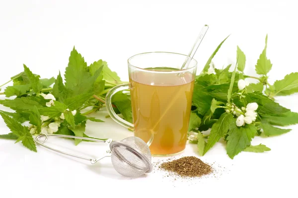 Gyógynövény tea — Stock Fotó