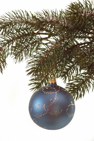 Jedle větev s vánoční koule — Stock fotografie