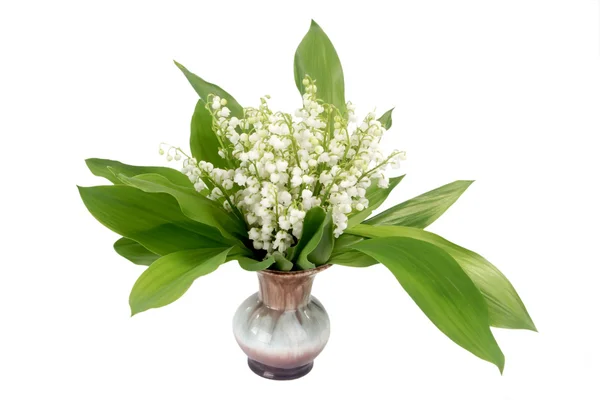 Ramo de flores de mayo — Foto de Stock
