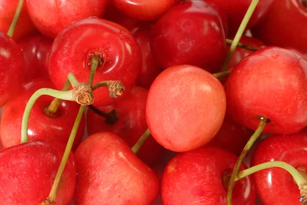 Background of Cherries — Stock Photo, Image
